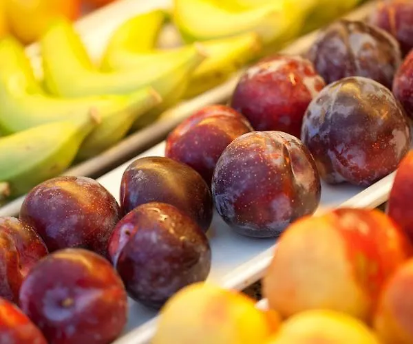 Szálloda Js Miramar