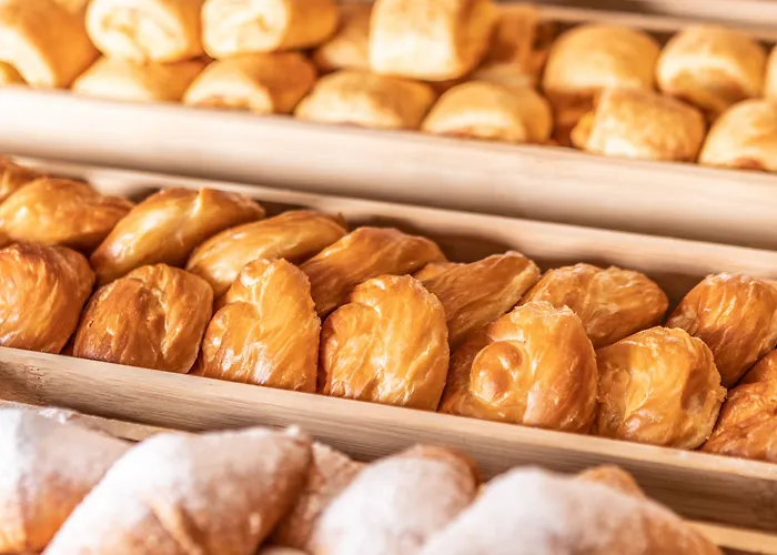 酒店 Js Miramar 坎皮卡福特